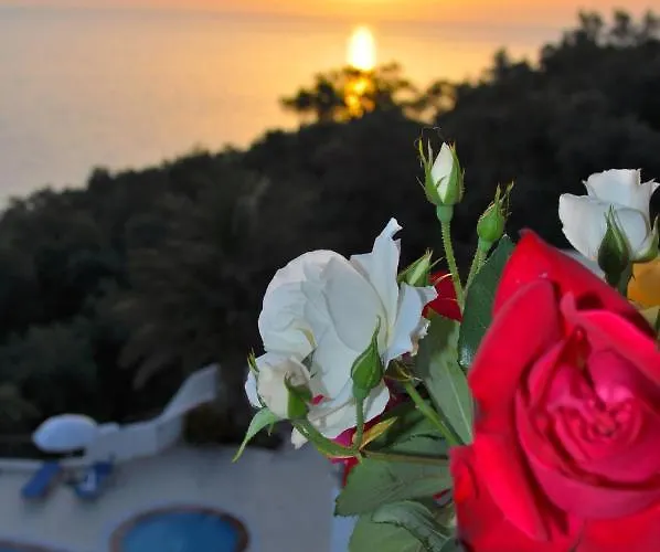 Lejlighed Maria With Amazing Pool - Agios Gordios Beach, Corfu